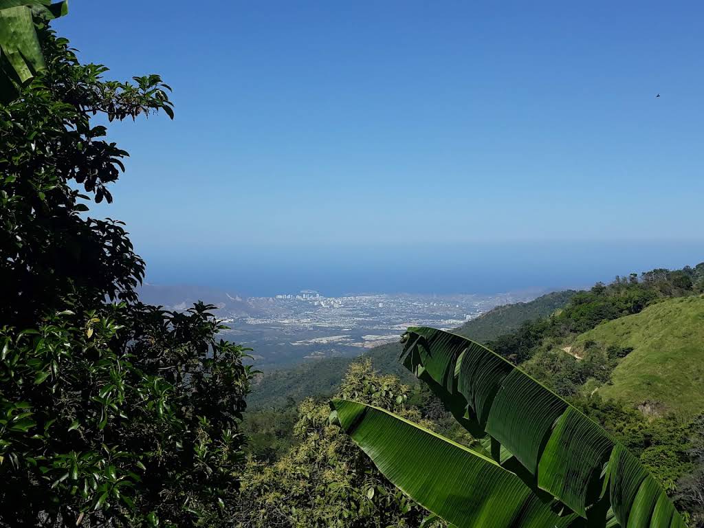 Finca La Candelaria Minca - foto 4