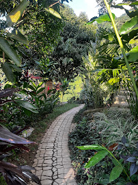 Spa Bambú Minca - foto 4