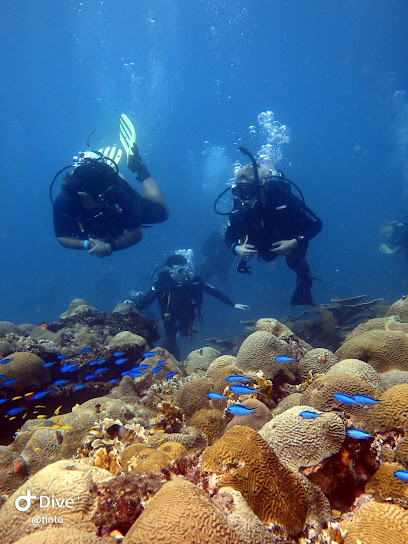 Buceo en Isla Aguja