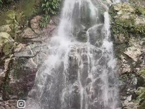 Sendero Ecoturístico Marinka - foto 3
