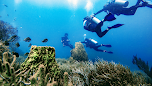 Snorkel en Taganga