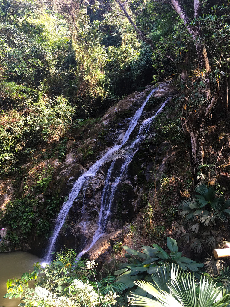 Aventura en Minca