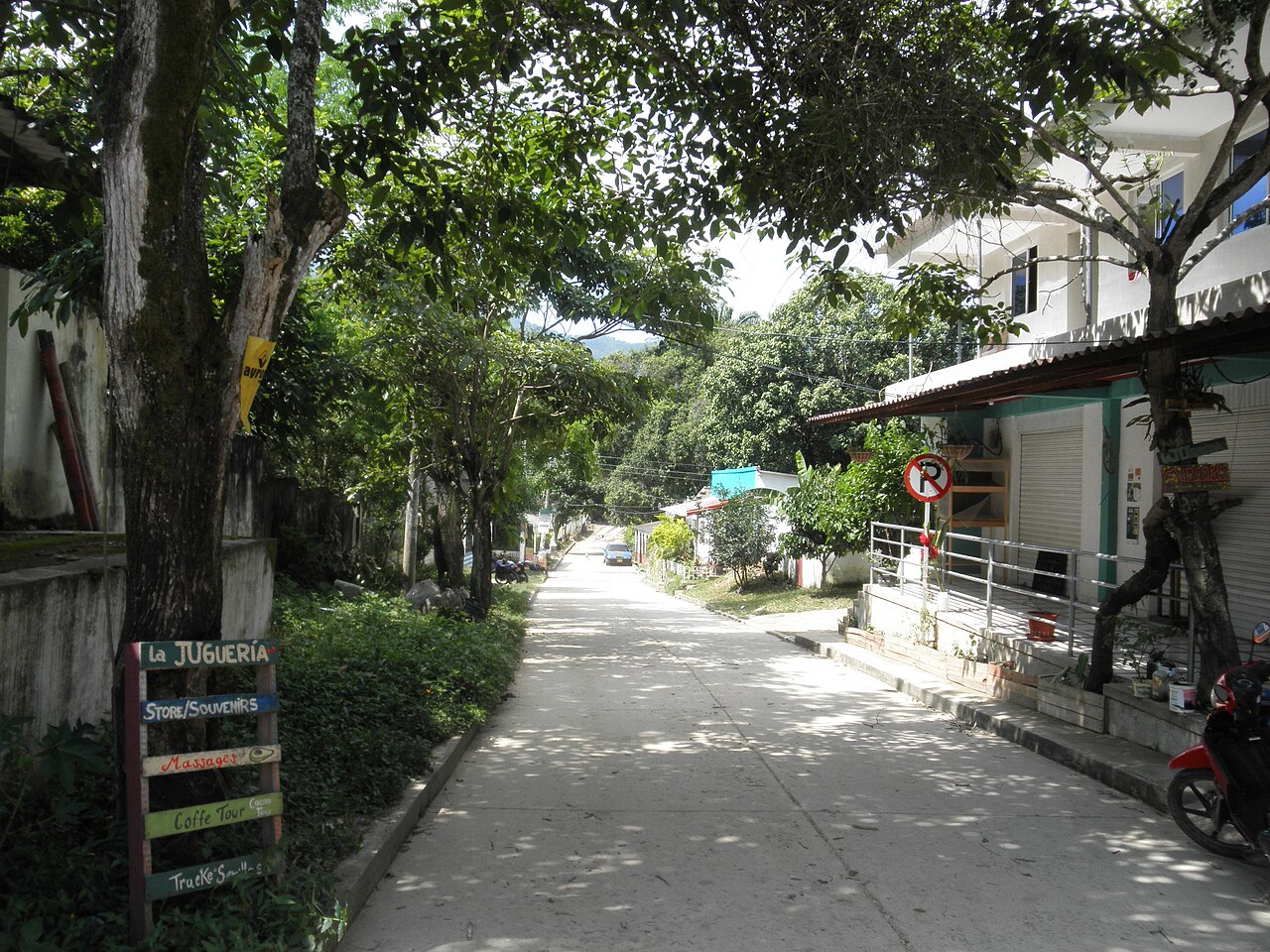 Minca
